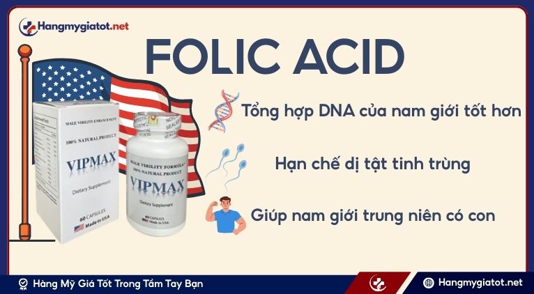 Folic Acid tác động đến tinh trùng