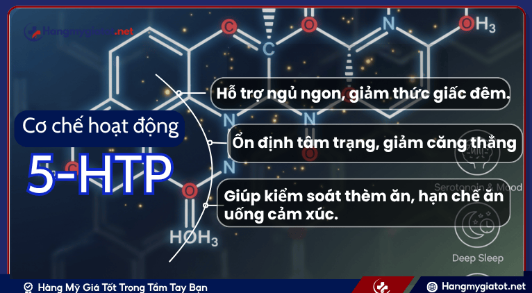 Cơ chế hoạt động của 5-HTP