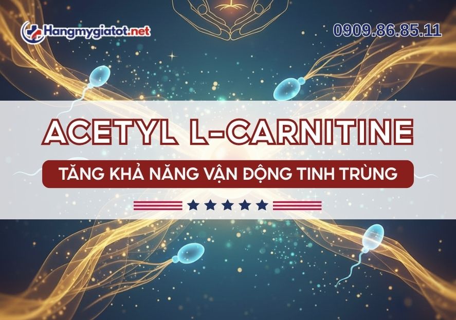 Acetyl L-Carnitine