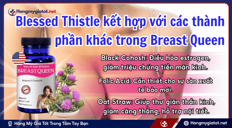 Blessed Thistle kết hợp với các thành phần khác trong Breast Queen