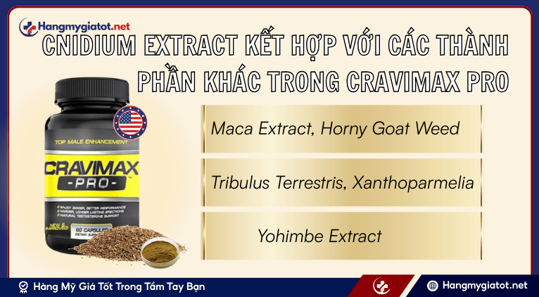 Cnidium Extract kết hợp với các thành phần khác trong Cravimax Pro