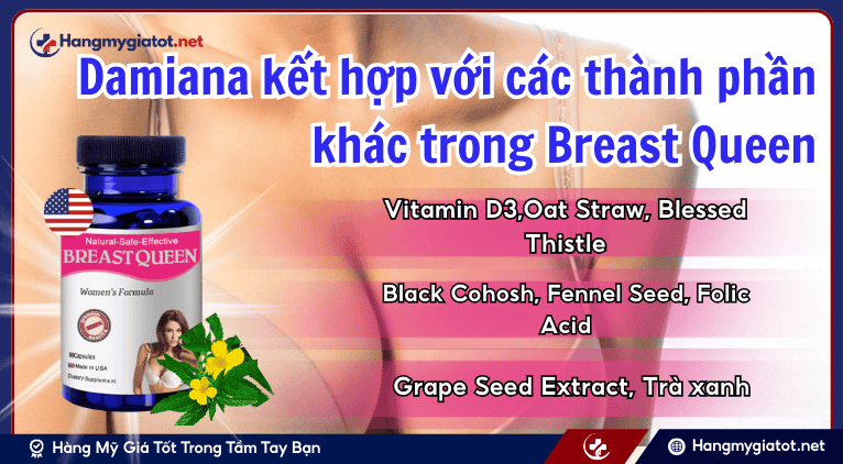 Damiana kết hợp với các thành phần khác trong Breast Queen