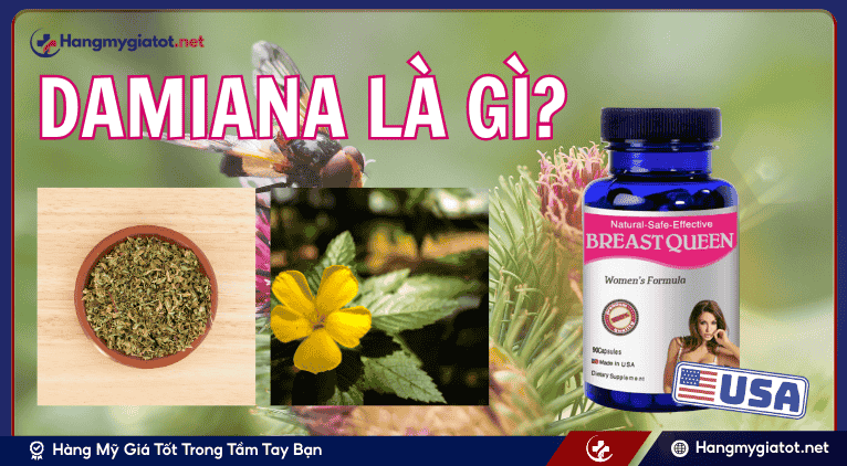 Damiana là gì?