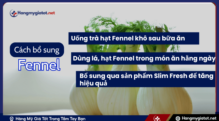Cách bổ sung Fennel
