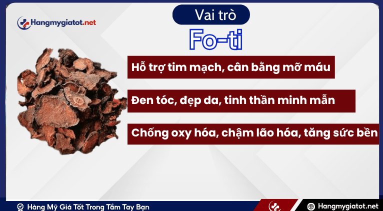 Vai trò của Fo-ti đối với sức khỏe