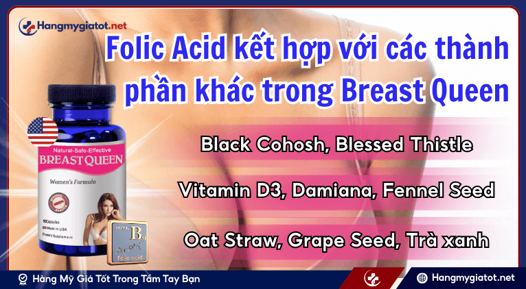 Folic Acid kết hợp với các thành phần khác trong Breast Queen