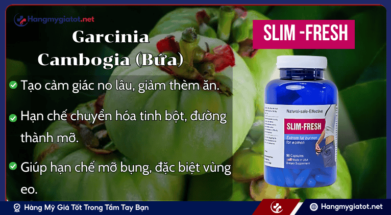 Garcinia Cambogia