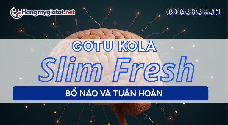 Gotu Kola trong Slim Fresh bổ não và tuần hoàn
