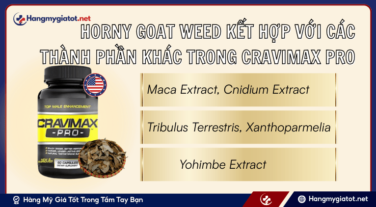 Horny Goat Weed kết hợp với các thành phần khác trong Cravimax Pro