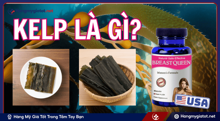Kelp là gì?