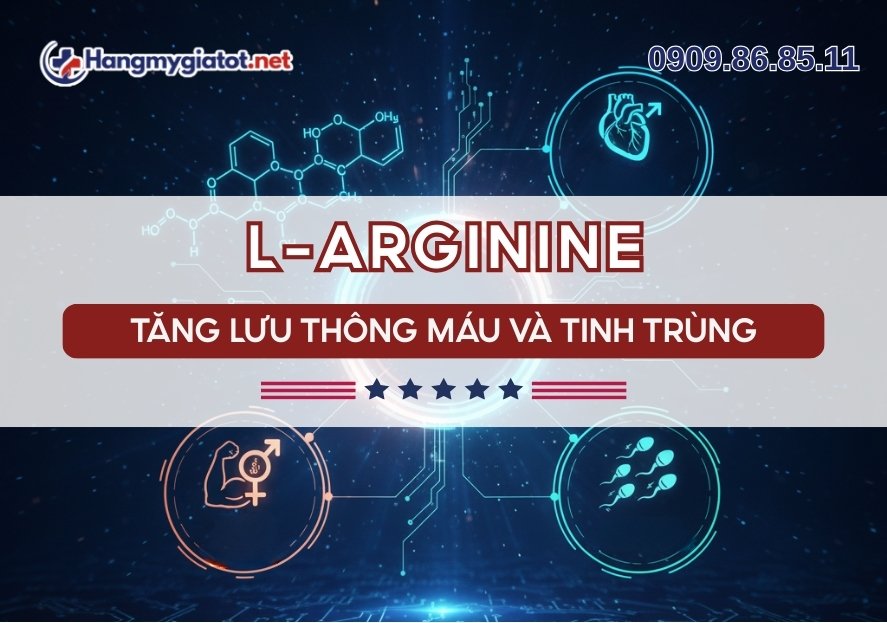L-Arginine trong Winmax Plus Axit amin tăng lưu thông máu & tinh trùng