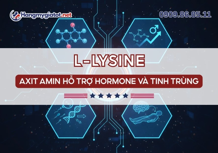 L-Lysine trong Winmax Plus Axit amin hỗ trợ hormone & tinh trùng