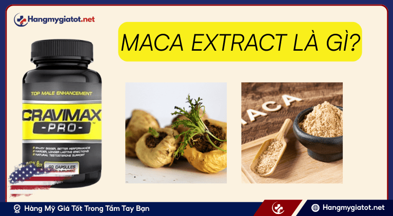 Maca Extract là gì?