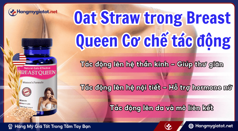 Oat Straw trong Breast Queen Cơ chế tác động