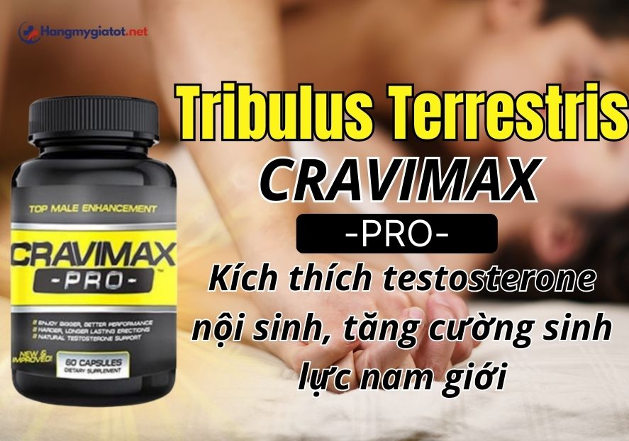 Tribulus Terrestris trong Cravimax Pro Kích thích testosterone nội sinh, tăng cường sinh lực nam giới