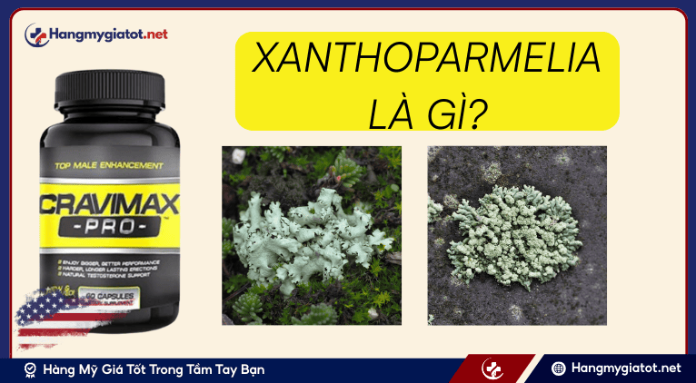 Xanthoparmelia là gì? 