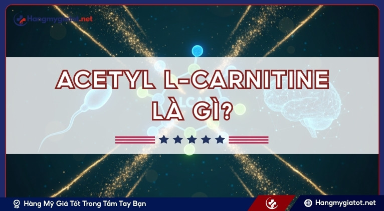 Acetyl L-Carnitine là gì?