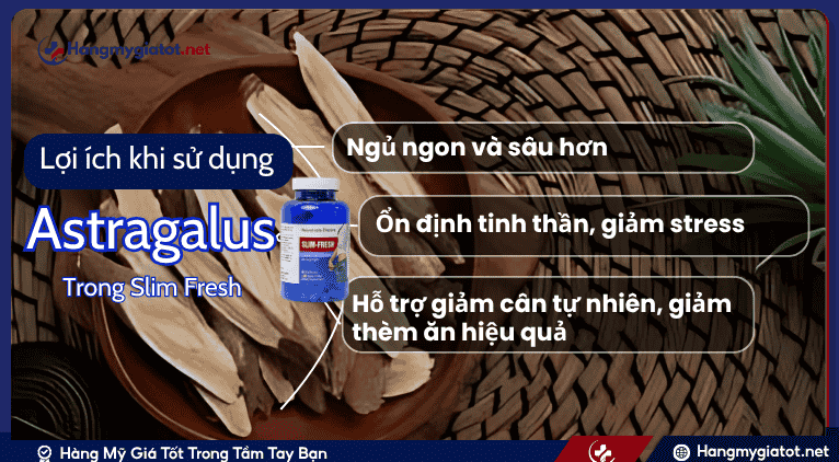 Astragalus kết hợp với các thành phần khác trong Slim Fresh