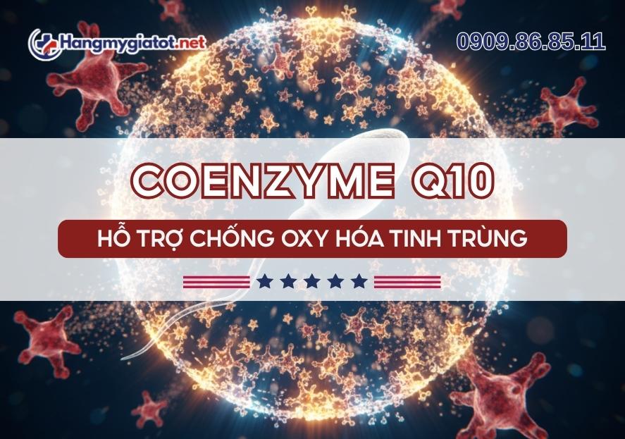 Coenzyme Q10 trong Winmax Plus Chống oxy hóa & tăng di động tinh trùng