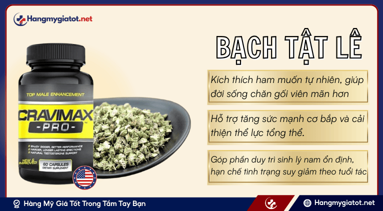 Tribulus Terrestris (Bạch tật lê)