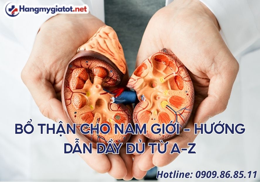 Bổ thận cho nam: hướng dẫn đầy đủ từ A–Z