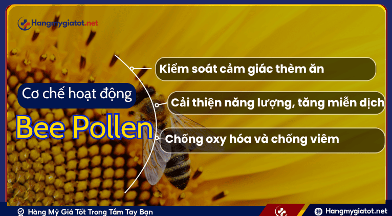Cơ chế tác động của Bee Pollen
