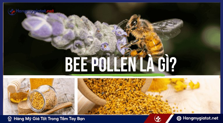 Bee Pollen là gì?