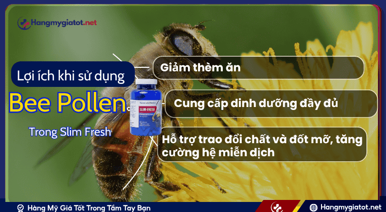Bee Pollen kết hợp với các thành phần khác trong Slim Fresh