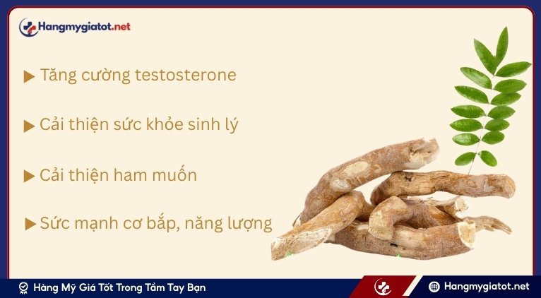 Hướng dẫn sử dụng Gravimax RX hiệu quả