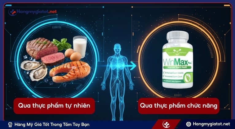 Cách bổ sung Vitamin B12 dành cho phái mạnh