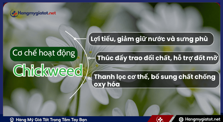 viết mô tat metadessreption cho nội dung sau đây với đúng 160ký tự và không trùng lấp nội dung, đủ 160 ký tự nha không được dưới 150 ký tự: