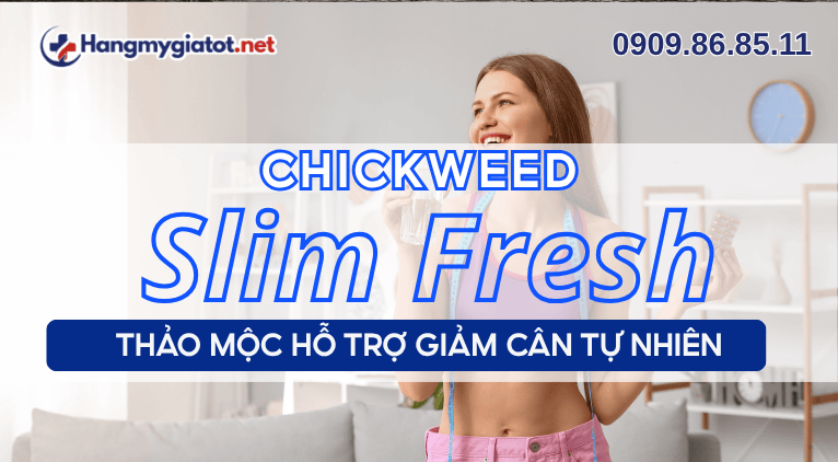 Chickweed trong Slim Fresh thảo mộc hỗ trợ giảm cân tự nhiên