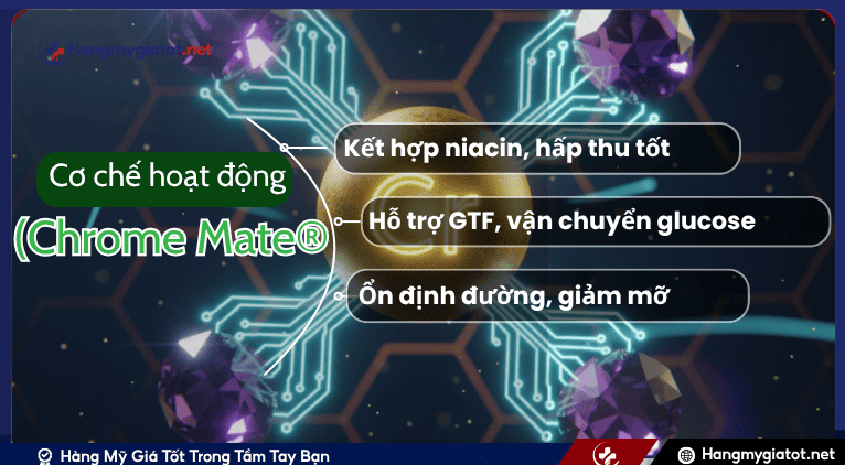 Cơ chế hoạt động của Chromium Elemental (Chrome Mate®)