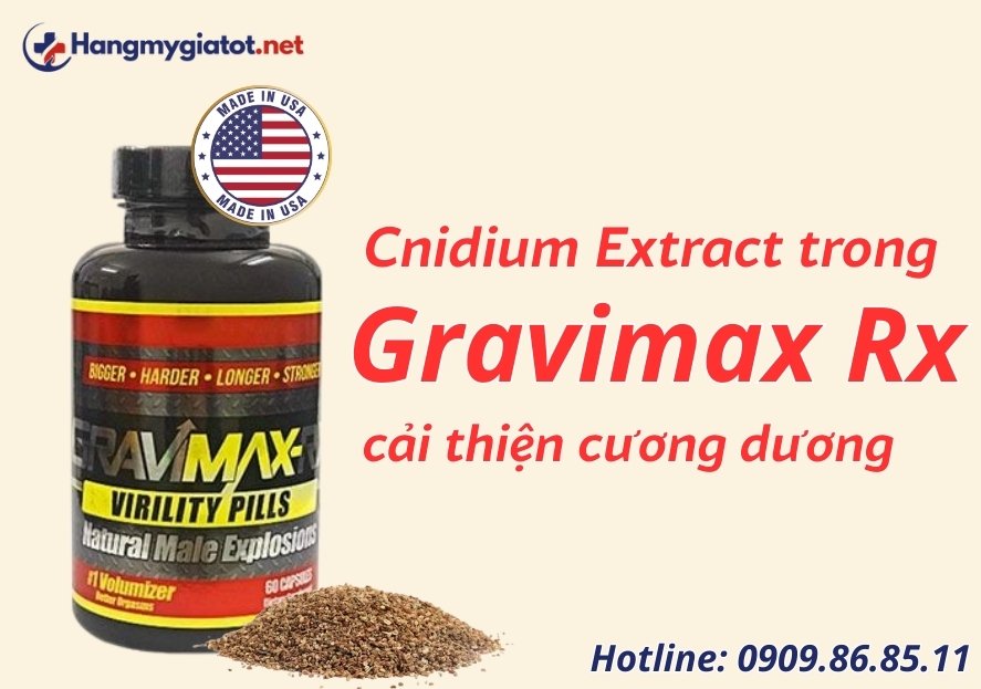 Cnidium Extract trong Gravimax RX cải thiện cương dương