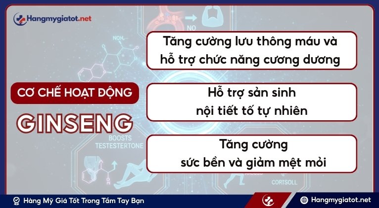 Cơ chế hoạt động của Ginseng trong tăng cường sinh lực và tinh trùng