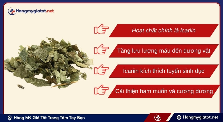 Cơ chế tác động của Horny Goat Weed đến testosterone