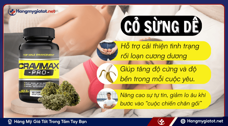 Horny Goat Weed (Cỏ sừng dê – Icariin)