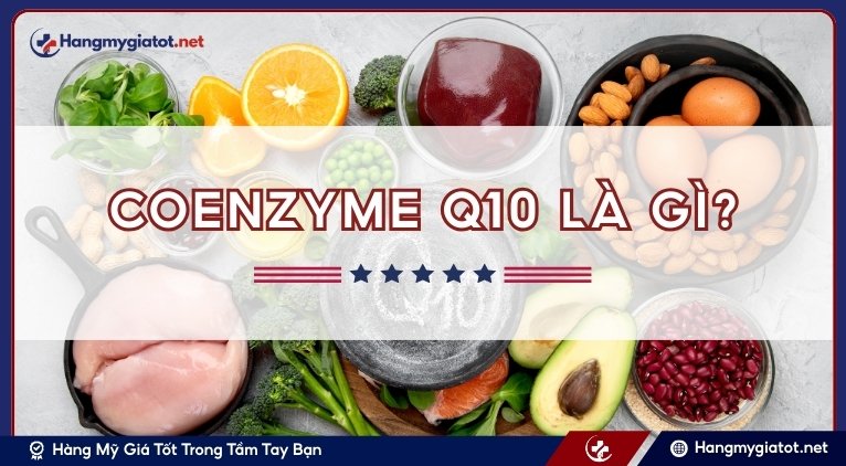 Coenzyme Q10 là gì?