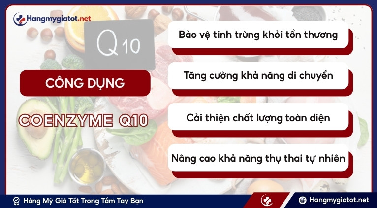 Công dụng chính của Coenzyme Q10 đối với sức khỏe tinh trùng