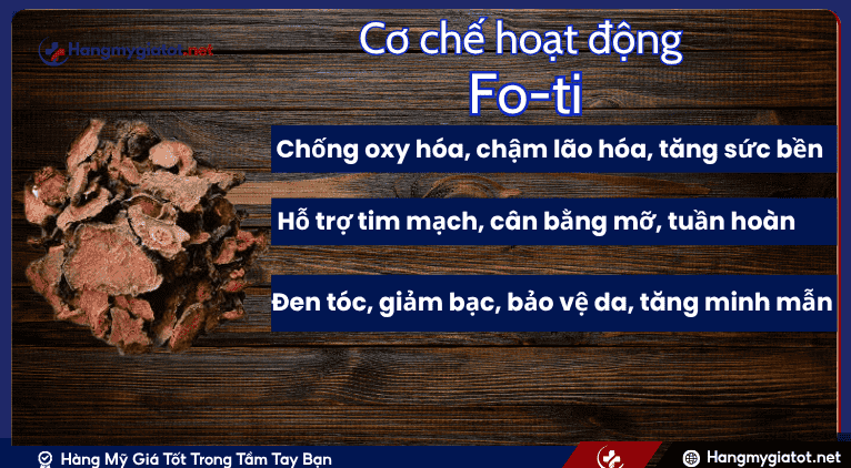 Cơ chế hoạt động của Fo-ti