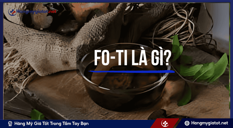 Fo-ti là gì?