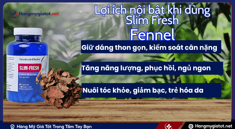 Lợi ích nổi bật khi dùng Slim Fresh có chứa Fo-ti