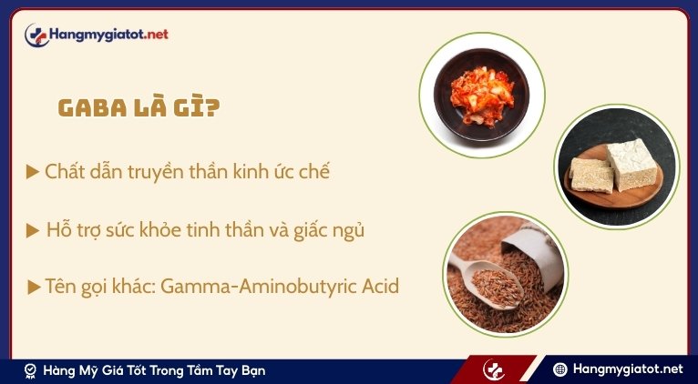 GABA là gì? Tầm quan trọng đối với hệ thần kinh