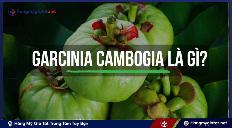 Garcinia Cambogia là gì?