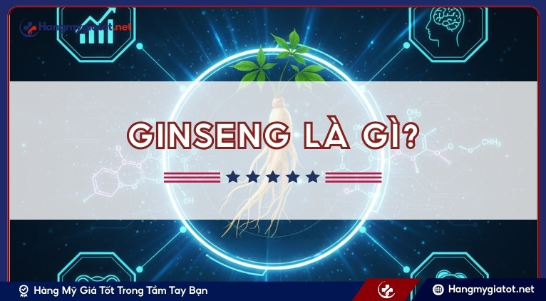 Giới thiệu về Ginseng