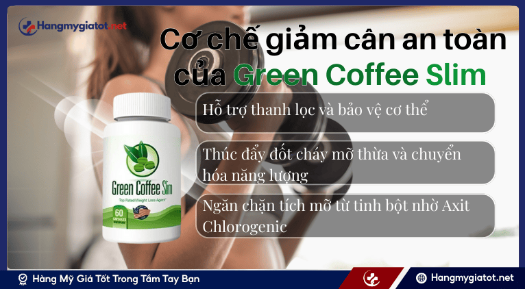 Cơ chế giảm cân an toàn của sản phẩm giảm cân Green Coffee Slim