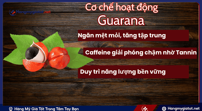 Cơ Chế Hoạt Động Đặc Trưng của Guarana
