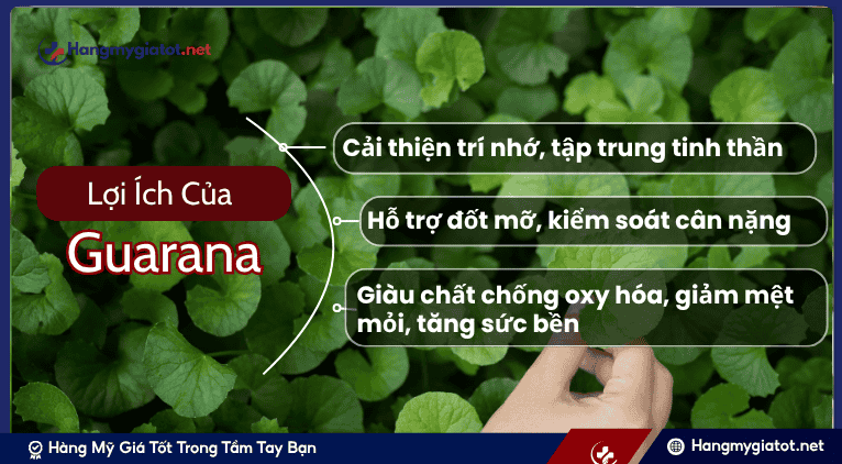 Lợi Ích Quan Trọng của Guarana đối với Sức Khỏe