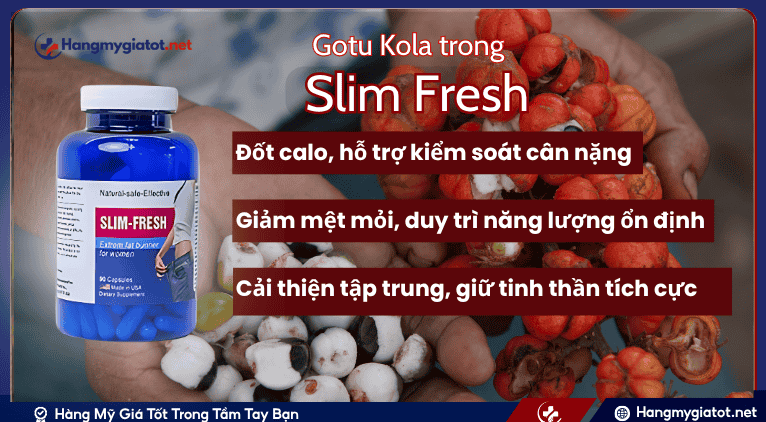 Guarana và vai trò trong Công Thức Slim Fresh