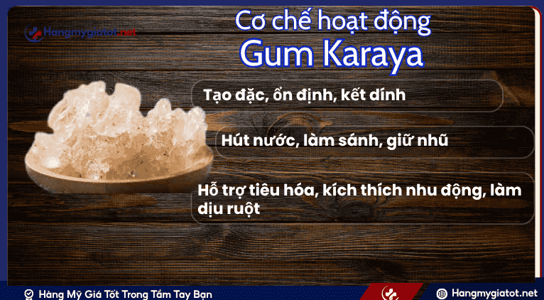Cơ Chế Hoạt Động Chủ Yếu Của Gum Karaya(Chất Tạo Đặc và Chất Xơ)
